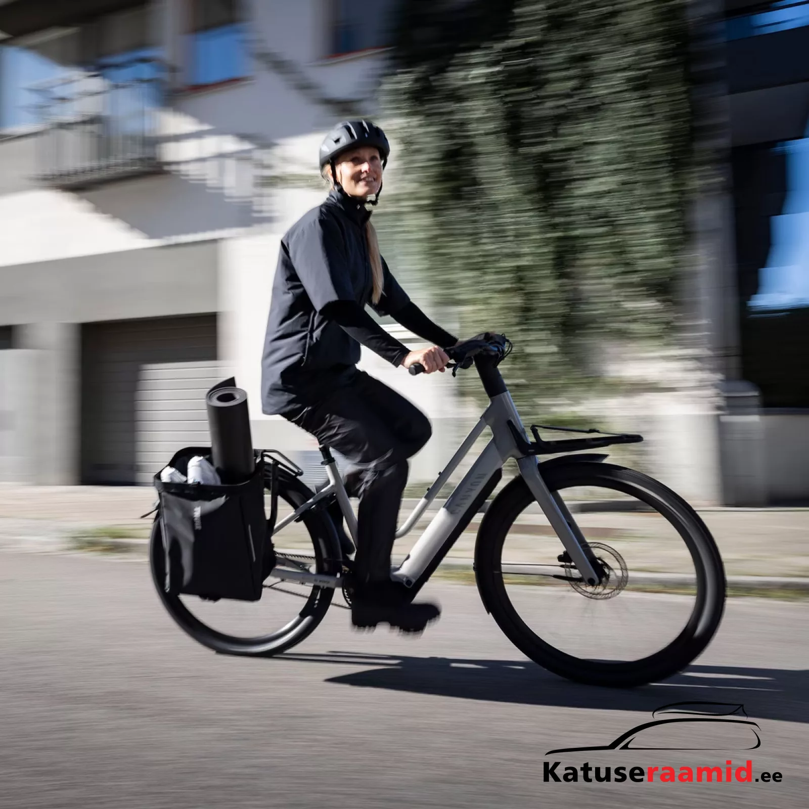 Thule Chasm cargo bin bag for bike with InLock 25L, 3205470 Thule Chasm cargo bin bag for bike with InLock 25L, 3205470