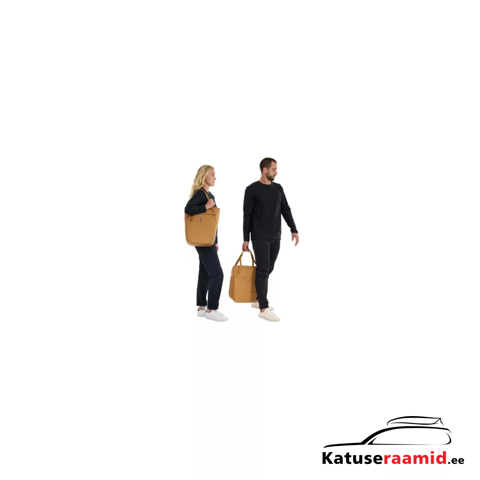 Thule Chasm cooler bag for bike with InLock 21L, 3205472 Thule Chasm cooler bag for bike with InLock 21L, 3205472