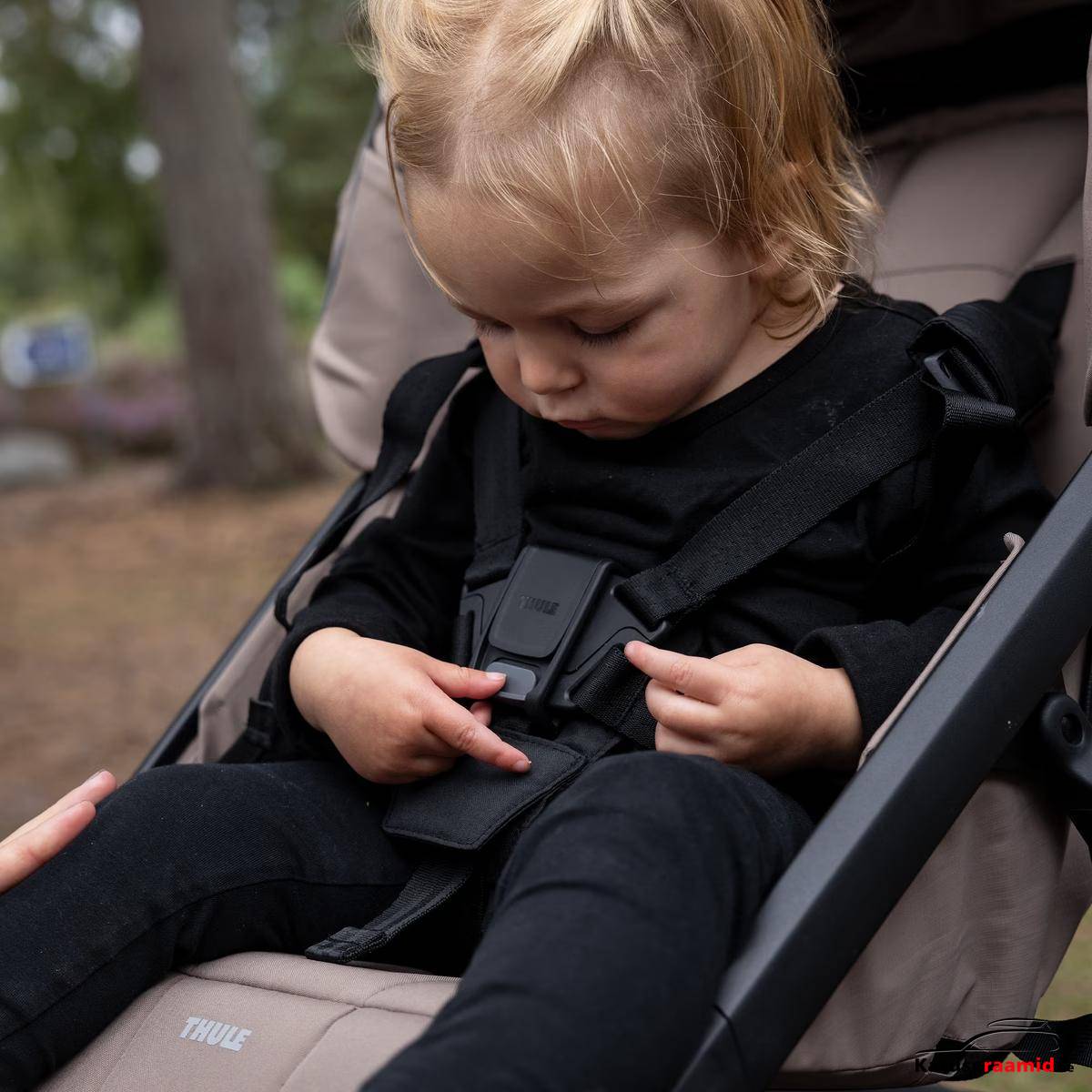 Thule Urban Glide 4-wheel