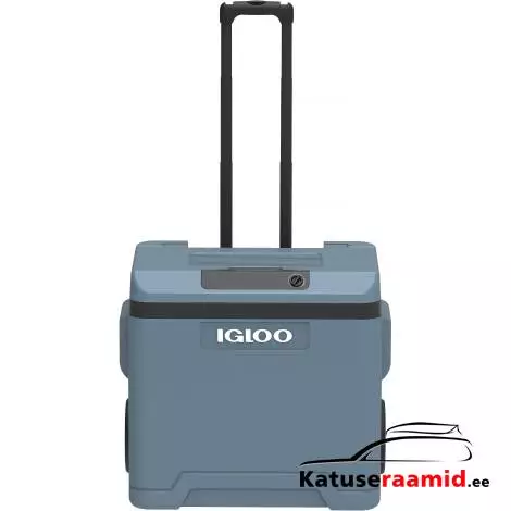 Igloo IE42 220-240V AC/12V DC 42 L 9620013371