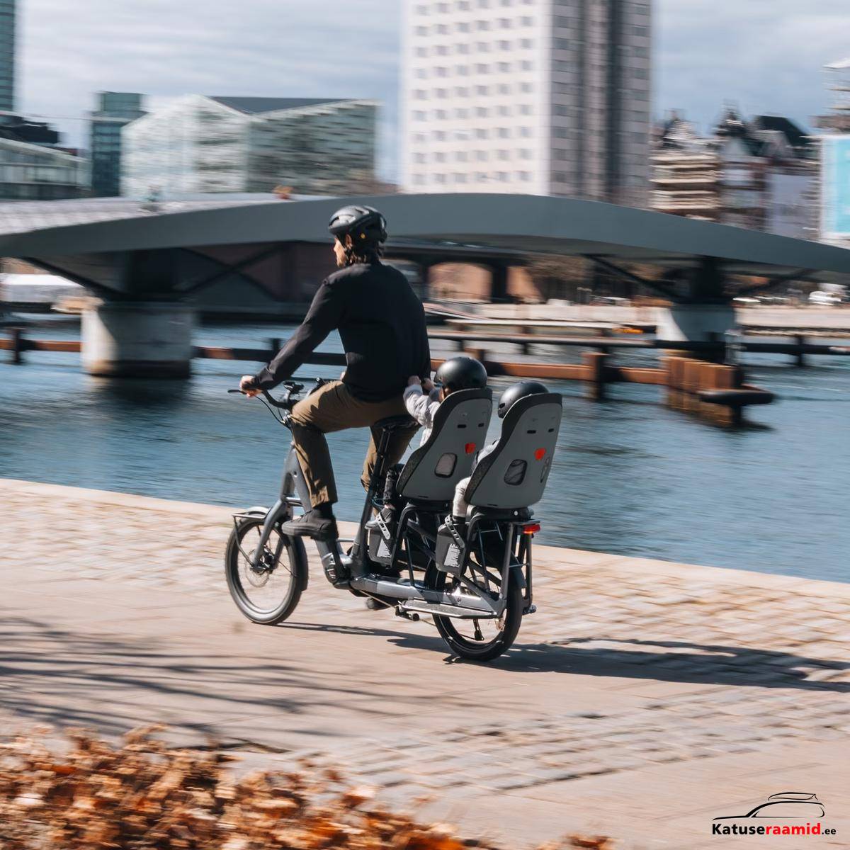 Thule Yepp Nexxt 2 Maxi - Frame mount Thule Yepp Nexxt 2 Maxi - Frame mount