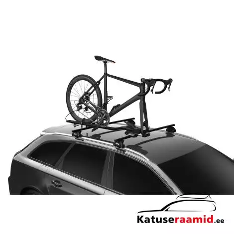 Thule FastRide &amp; TopRide Thru-Axle Adapter 20x110 mm Copy 889900