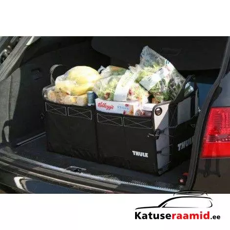 Thule GoBox organizer----- 8005
