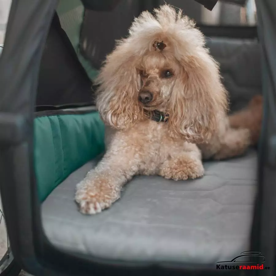 Thule Bexey dog bed L, 800007 Thule Bexey dog bed L, 800007