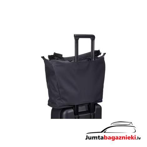 Thule Aion 23L