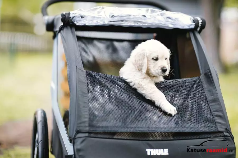 Thule Courier Dog Trailer Kit, 20301001 Thule Courier Dog Trailer Kit, 20301001