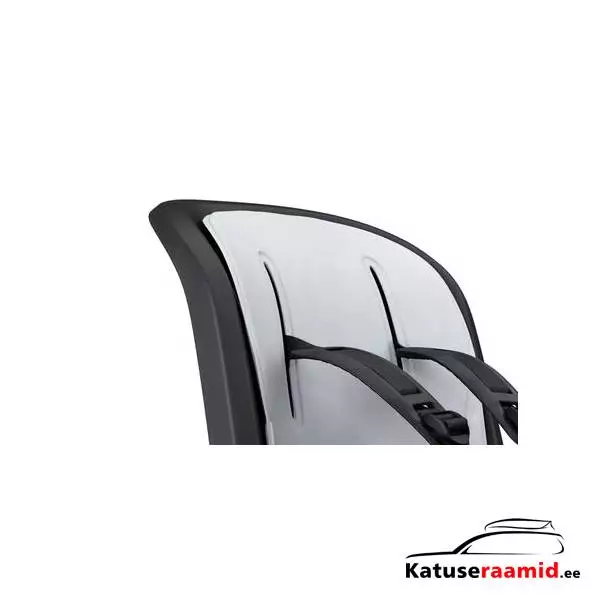 Thule RideAlong 2, 100609 Thule RideAlong 2, 100609