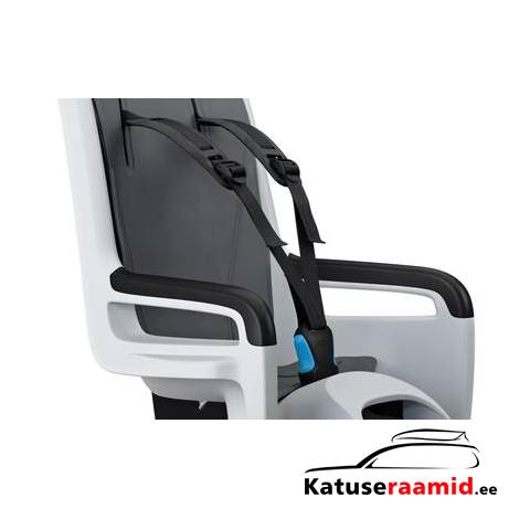 Thule RideAlong 2