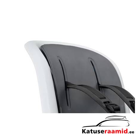 Thule RideAlong 2
