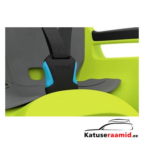 Thule RideAlong 2