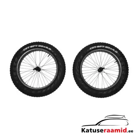 Reacha 20" fat tire wheel set 10101415