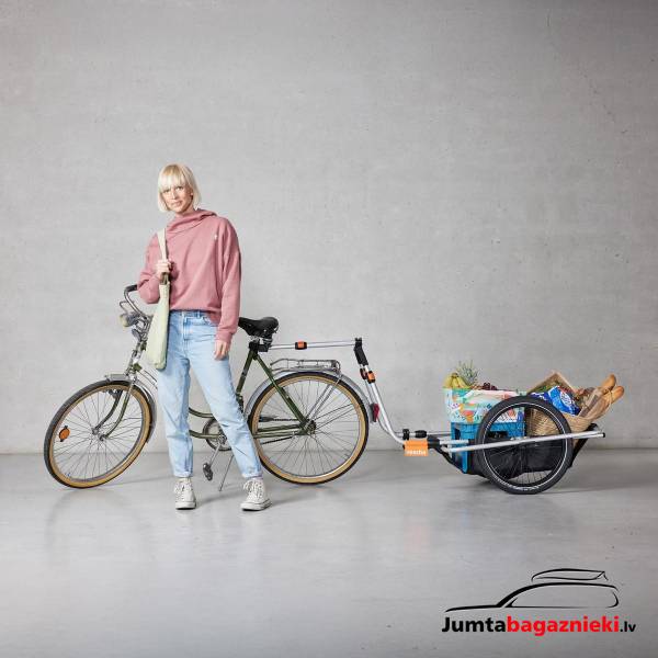 Reacha City Reacha City