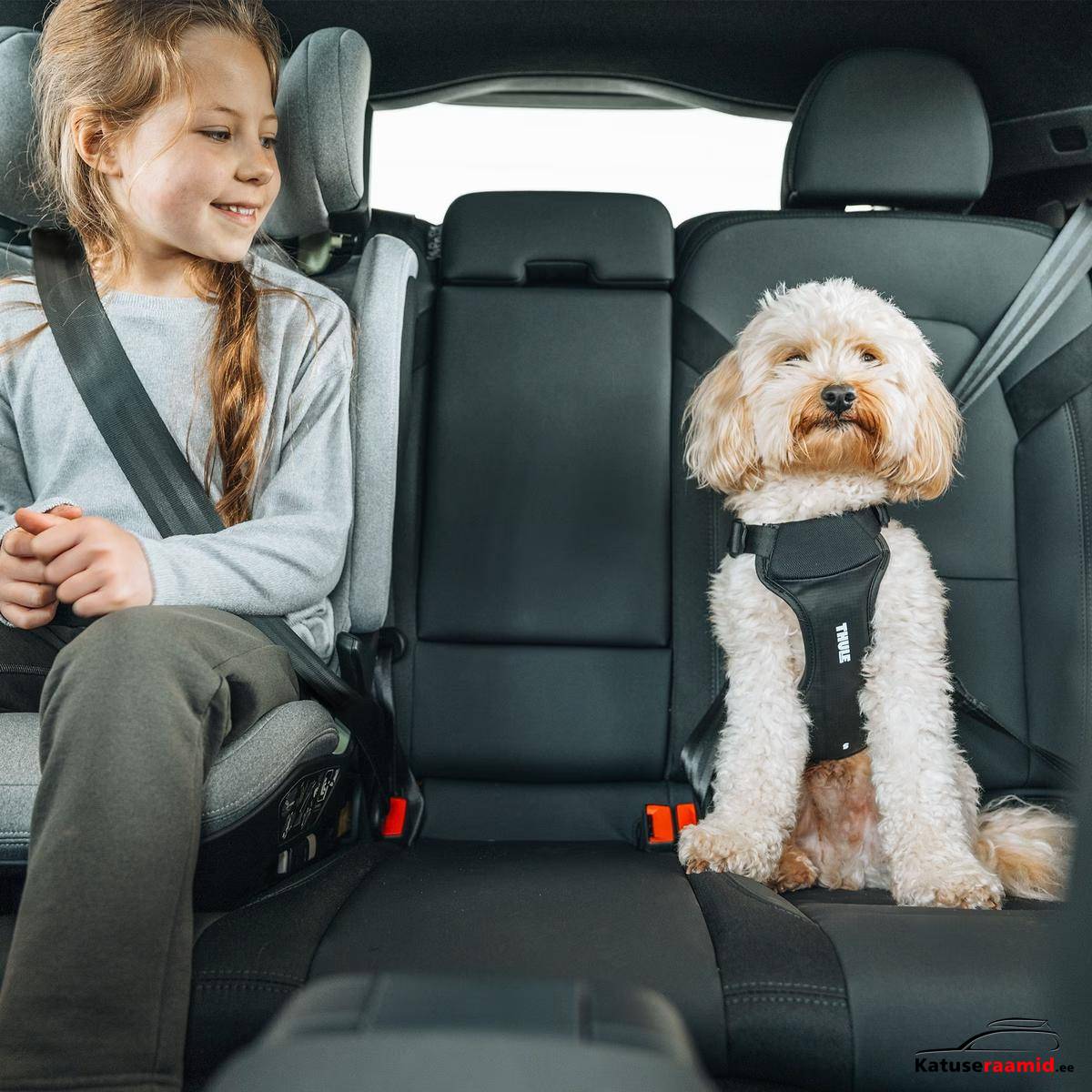 Thule Cappy L Thule Cappy L