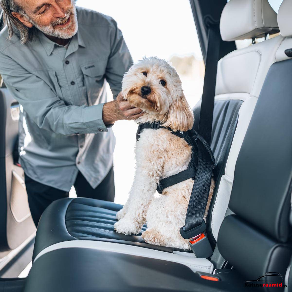 Thule Cappy L Thule Cappy L