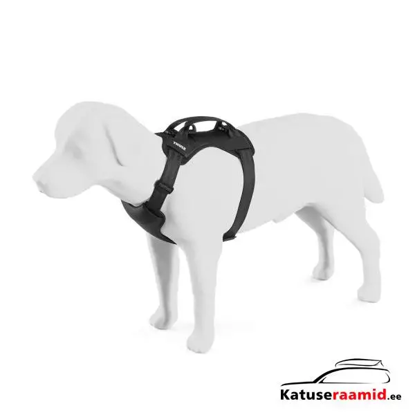 Thule Cappy S 771001