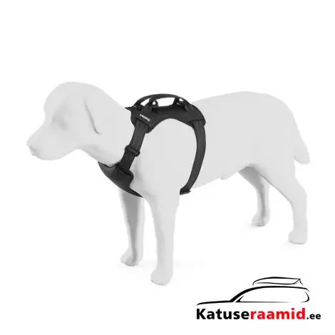 Thule Cappy M 771002
